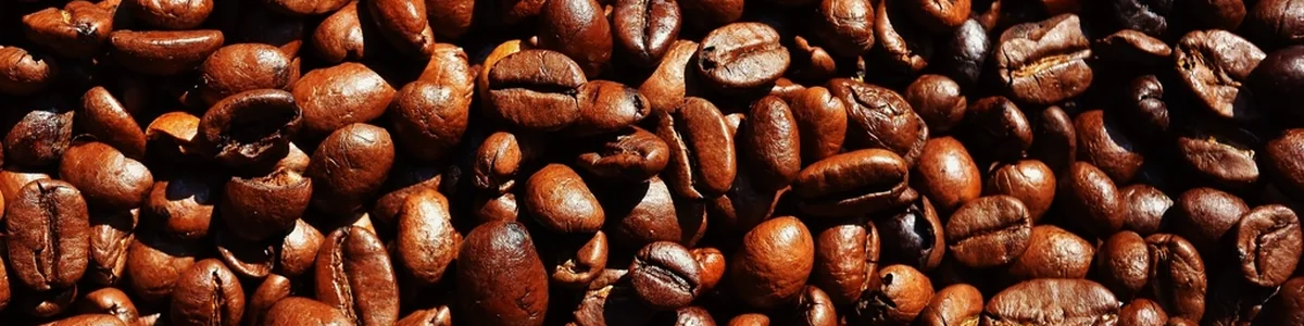 Freshly roasted coffee beans, the product that goes inside custom coffee bags