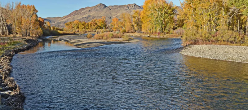 The Upper Salmon River running through the mountains near Challis, Idaho