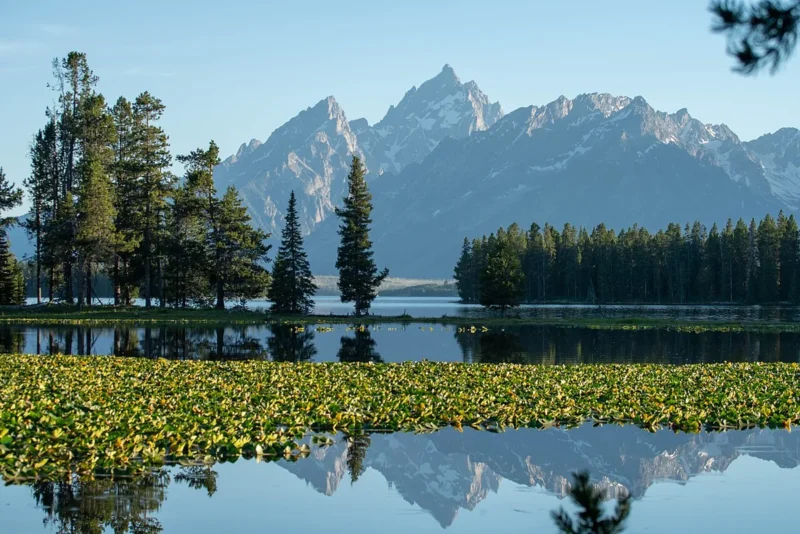 Teton Range rising above Heron Pond and Jackson Lake near Jackson, Wyoming