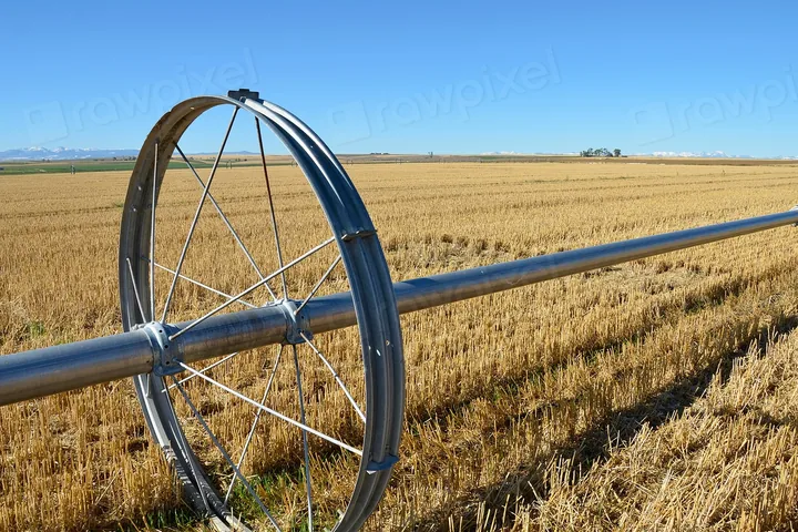 Harvested wheat field on the Montana plains