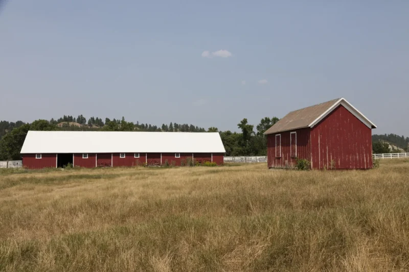 Red barns on a cattle and horse ranch near Sundance in Crook County, Wyoming