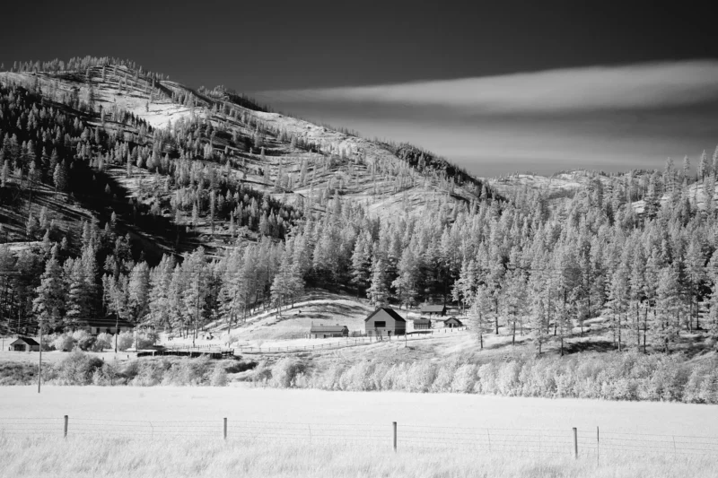 Hay field and farm buildings in rural Wyoming